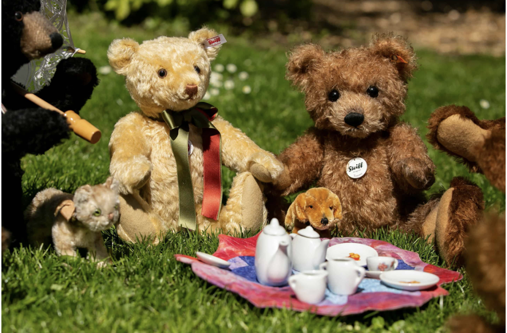 Teddy Bear's Picnic
