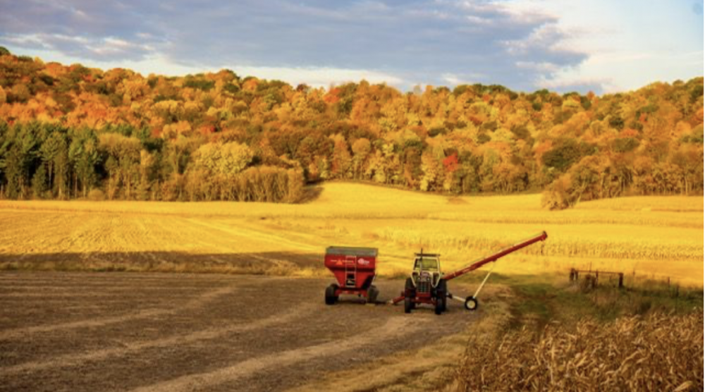 A Late Harvest